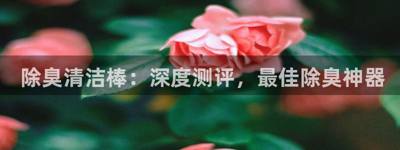 凯时k8官网首页