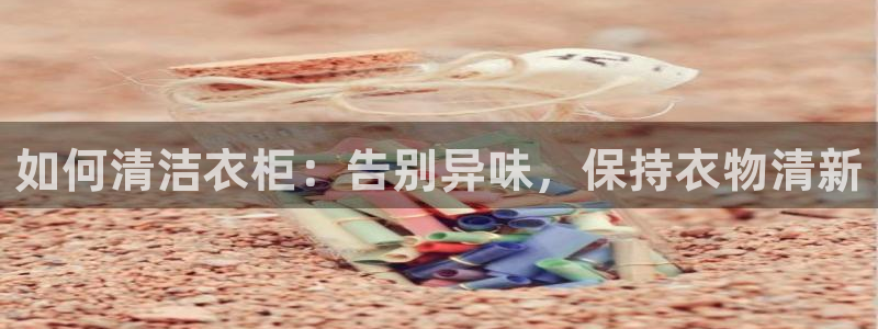 尊龙新版官网网页版：如何清洁衣柜：告别异味，保持衣物清新