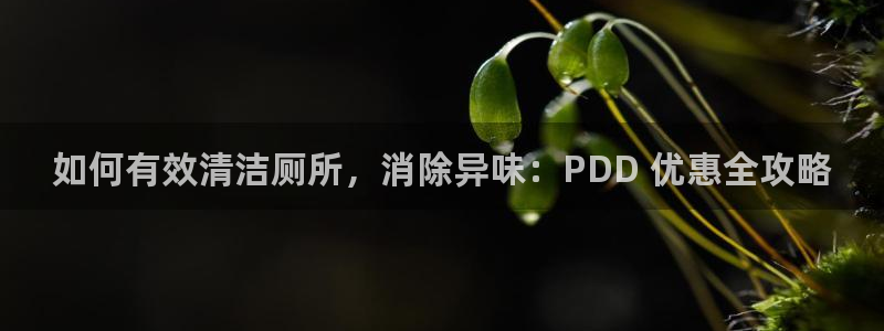 尊龙官网免费下载安卓：如何有效清洁厕所，消除异味：PDD