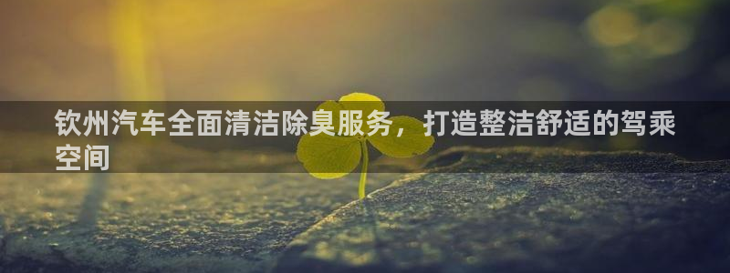 尊龙集团有限公司地址：钦州汽车全面清洁除臭服务，打造整洁