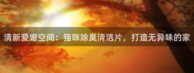 尊龙凯时和九游会哪个平台好一点：清新爱宠空间：猫咪除臭清