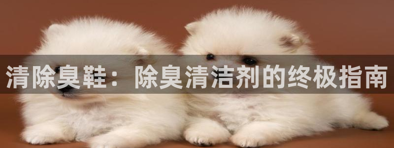 z6com尊龙凯时百