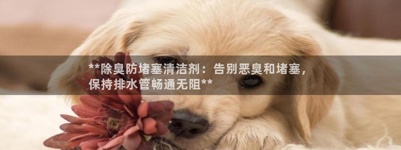 尊龙官网手：**除臭防堵塞清洁剂：告别恶臭和堵塞，
保持