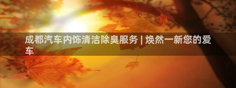 尊龙百度贴吧：成都汽车内饰清洁除臭服务 | 焕然一新您的