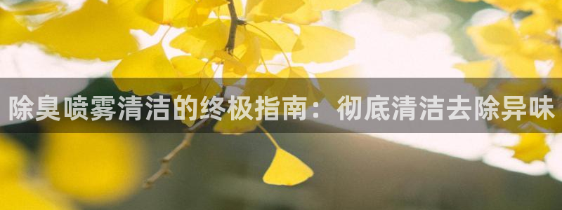 尊龙凯时人生就是博官网登录：除臭喷雾清洁的终极指南：彻底