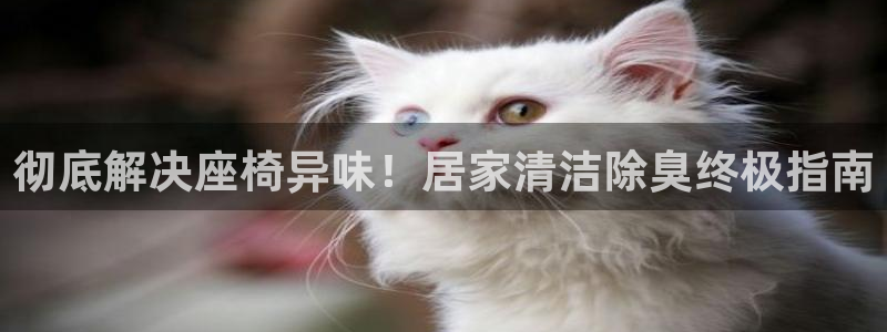 尊龙凯时正规吗：彻底解决座椅异味！居家清洁除臭终极指南