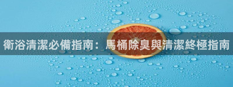 尊龙凯时官网网址：衛浴清潔必備指南：馬桶除臭與清潔終極指