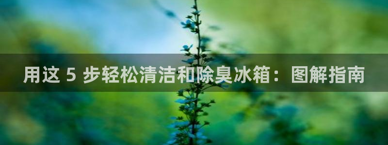 凯时官网的售后服务：