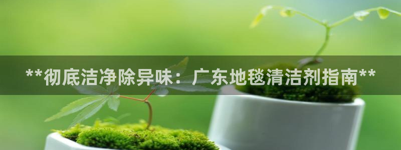 尊龙集团有限公司是国