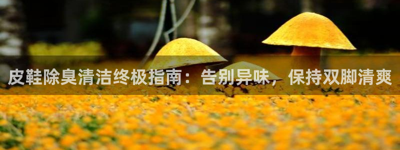 尊龙官方身高：皮鞋除臭清洁终极指南：告别异味，保持双脚清