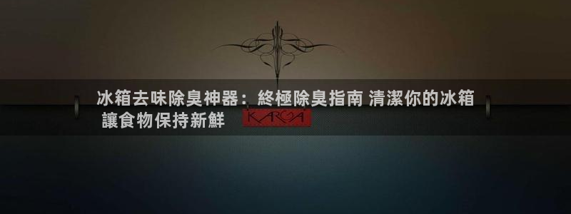 尊龙王t400：冰箱去味除臭神器：終極除臭指南 清潔你的冰箱